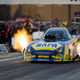 Illustration for article titled Peek Into the Nonstop Action of the NHRA Finals